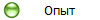 Опыт